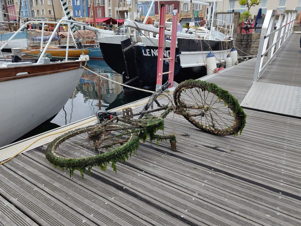 Bretagne: Hafen in Paimpol